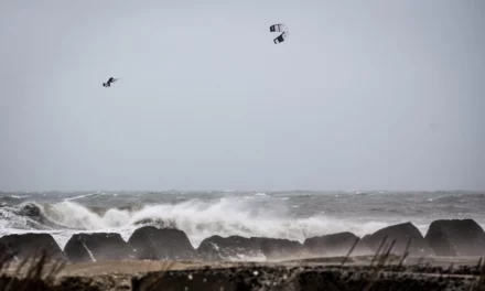 Les tempêtes arrivent !